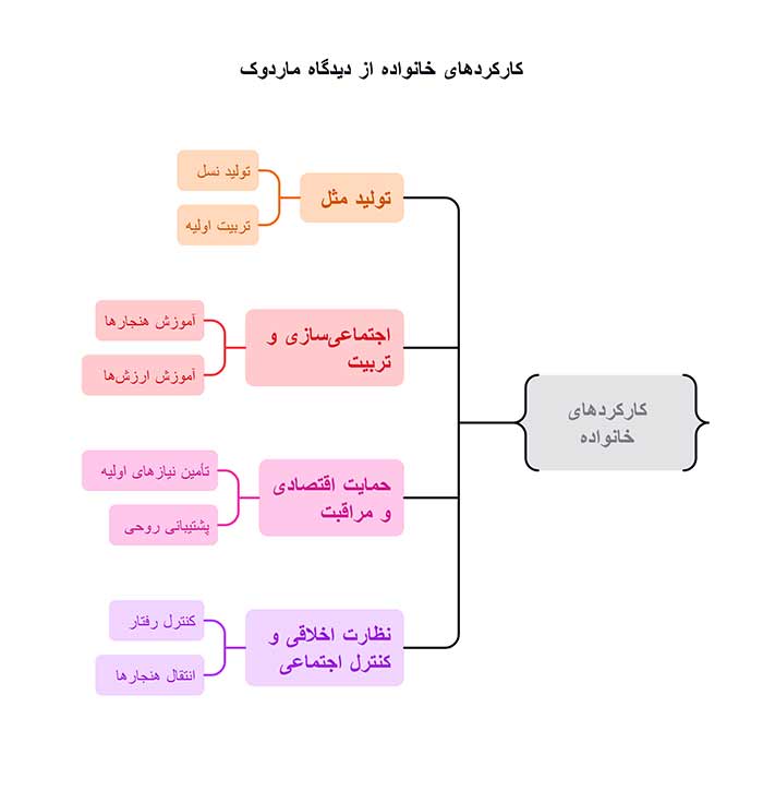 اینفو گرافی کارکردهای خانواده از دیدگاه ماردوک 
